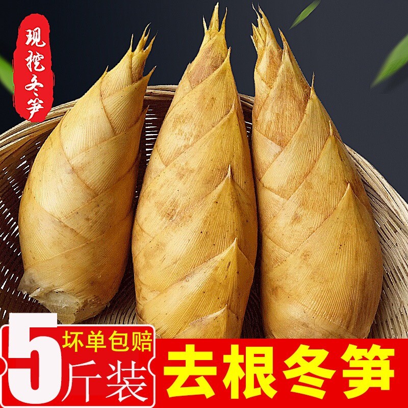 2025冬笋新鲜现挖正宗福建高山毛竹笋农家黄泥带壳竹笋尖火锅配菜