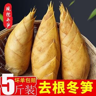 2025新鲜冬笋现挖正宗福建高山毛竹笋农家黄泥带壳竹笋尖火锅配菜