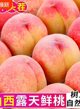 水蜜桃当季水果桃子脆甜多汁毛桃血桃正宗农家鲜果整箱包邮自提