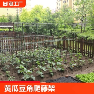 黄瓜爬藤架架杆西红柿架种菜蔬菜爬架搭棚子架子种植箱包塑园艺