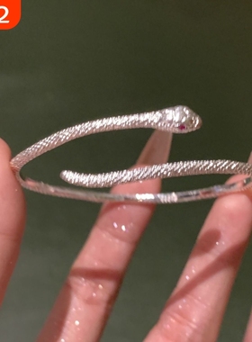 小众银色灵蛇手镯百搭简约设计版可调节手环竹节光面双环繁花