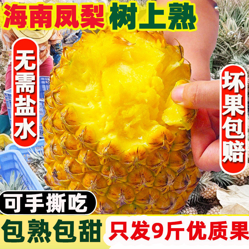 海南金钻凤梨9斤树上熟当季热带新鲜水果非菠萝手撕整箱自然熟图片