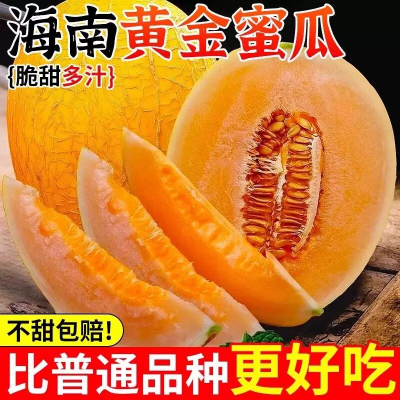 正宗海南黄金蜜瓜哈密瓜当季新鲜水果黄皮网纹黄河蜜瓜现摘包邮