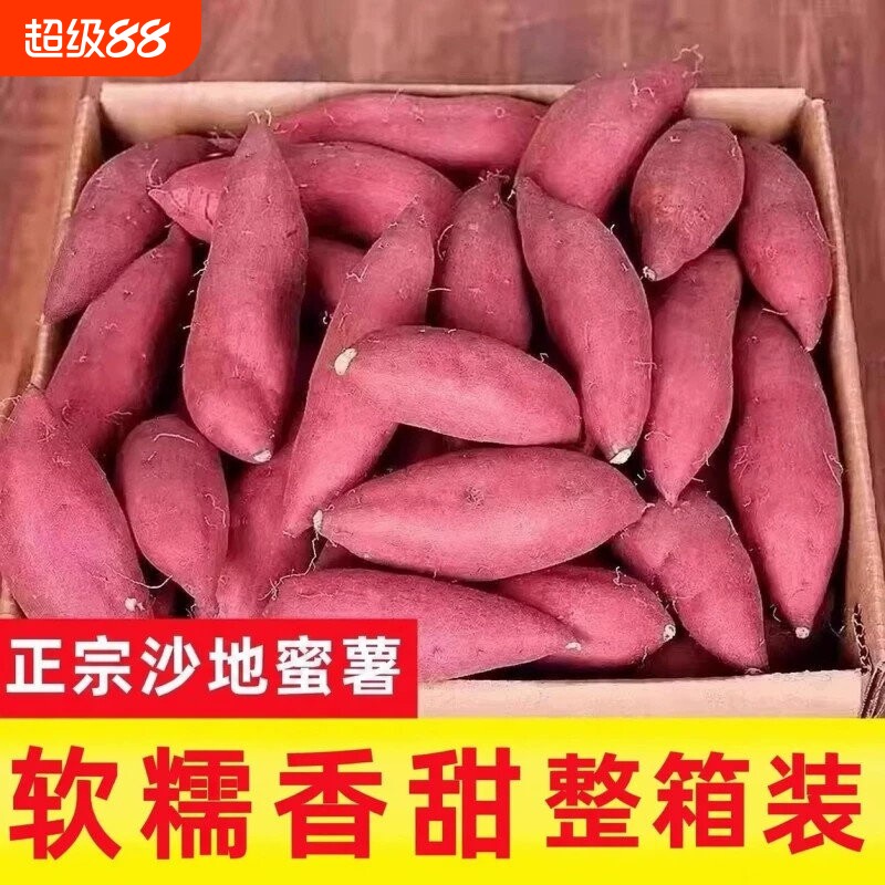 新鲜红薯9斤装|超4000次加购图片
