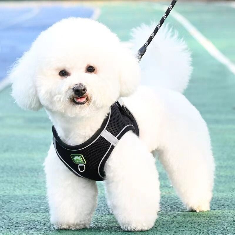 背心式狗狗牵引绳小型犬比熊泰迪博美小狗幼犬胸背带遛狗绳狗链子图片