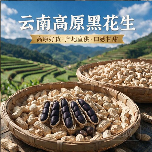正宗富硒黑花生正品|千人回购
