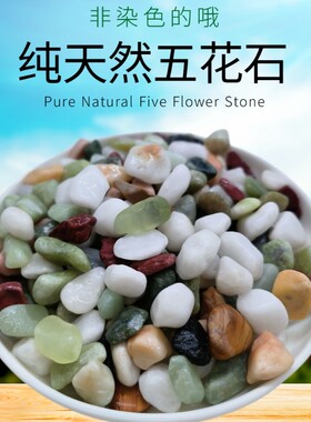 天然五彩石鱼缸造景植物铺面