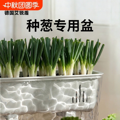 家用种葱自吸水花盆长方形盆种菜盆阳台小葱种植盆蔬菜专用盆绿植