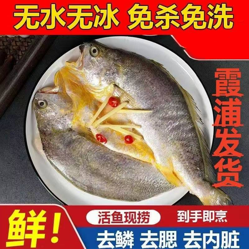 福建宁德黄鱼鲞特产醇香开背三去大黄鱼黄花鱼黄瓜鱼腌制非半干货
