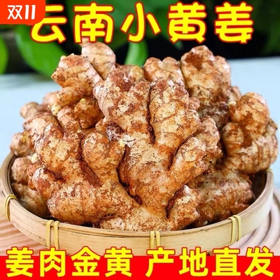 【甄选】正宗云南小黄姜新鲜生姜高山沙姜农家土姜籽姜农家姜香辣