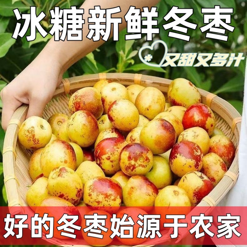 正宗冬枣脆甜新鲜大果应季整箱枣子现摘脆枣冰糖大枣5斤当季水果