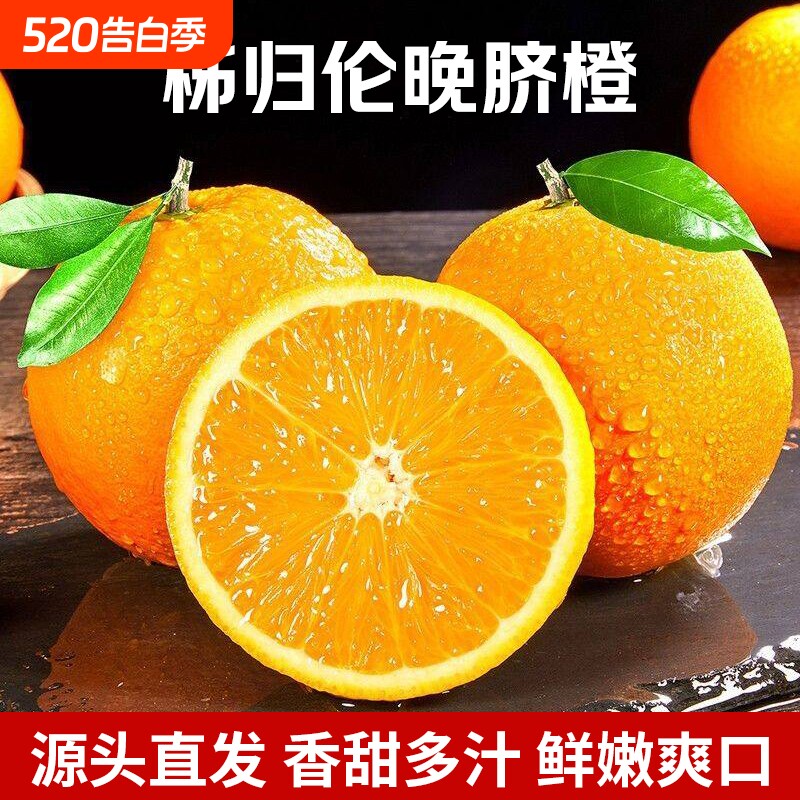 正宗秭归伦晚脐橙5/9斤整箱大果当季新鲜橙子水果现摘产地直发