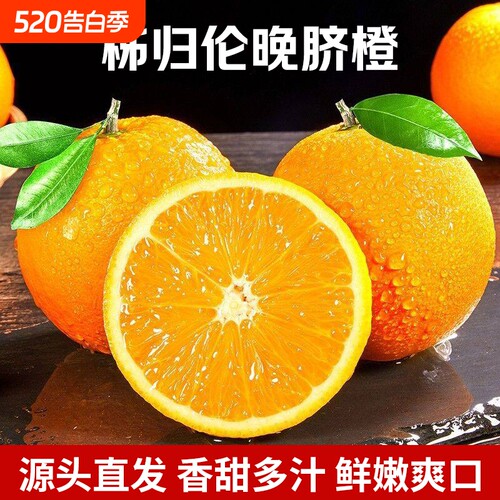 正宗秭归伦晚脐橙5/9斤大果