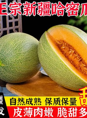 新疆哈密瓜脆甜多汁皮薄肉厚
