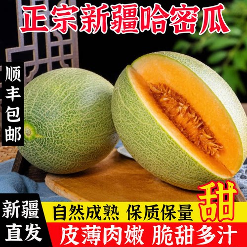 新疆哈密瓜脆甜多汁皮薄肉厚