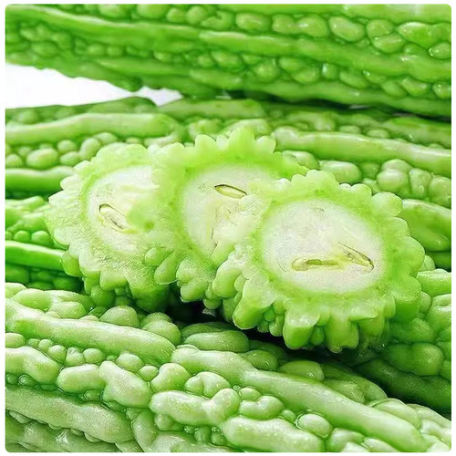 山东新鲜绿油苦瓜清燥降火凉拌