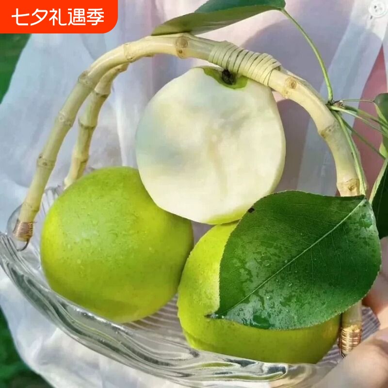 正宗安徽砀山青梨新鲜新鲜皇冠梨汤山酥梨农家当季脆甜梨整箱包邮
