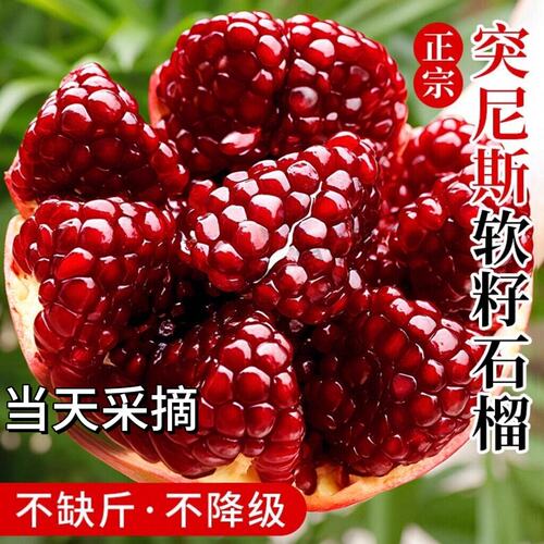 现摘突尼斯软籽石榴水果新鲜当季整箱正宗四川会理特级甜红宝石榴