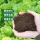 种菜种花营养土养花绿植通用型肥料土壤家用花泥花土专用发酵疏松