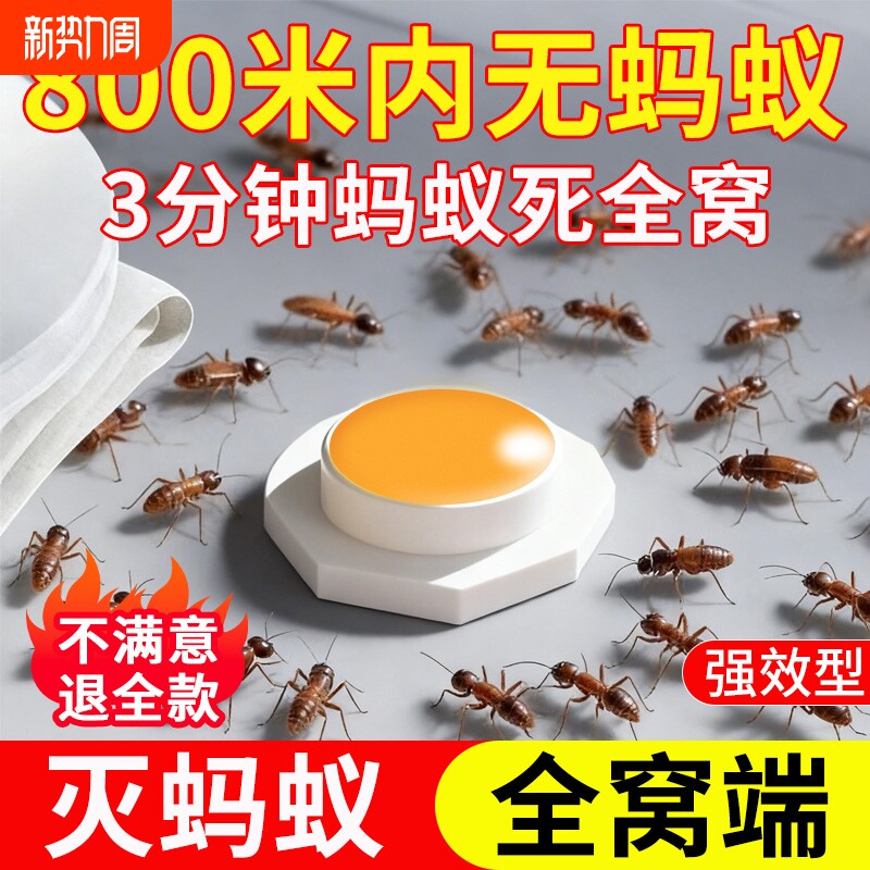 蚂蚁药家用室内强效全窝端非无毒杀除蚂蚁灭蚁饵杀虫剂呋虫胺家里