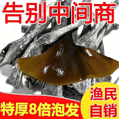 福建霞浦海带头根丝500g特厚实级
