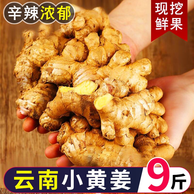 2026新云南小黄姜新鲜生姜老姜现挖高山沙姜土姜种子生姜煮菜泡姜图片