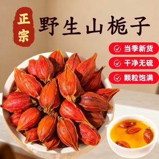 栀子中药材正品 官方旗舰店栀子果干上色香料野生栀子泡水喝山栀子