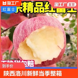 辽西绥中苹果新鲜水果当季整箱9斤红富士冰糖心脆甜超市用不打蜡