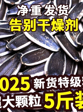 2025新货葵花籽大颗粒原味炒熟生瓜子5斤批发零食葵花子五香新鲜