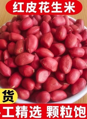 东北红皮花生25年农家新货带壳新鲜红花生米五谷杂粮批发2025年