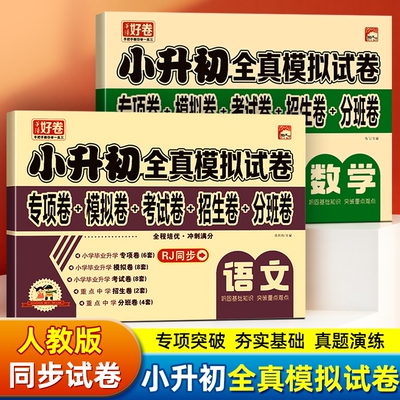 小升初全真模拟试卷期末冲刺复习