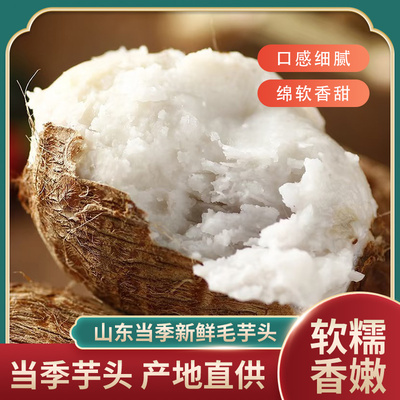 山东牛奶小芋头中球大球农家自种小芋头一分甘芋艿