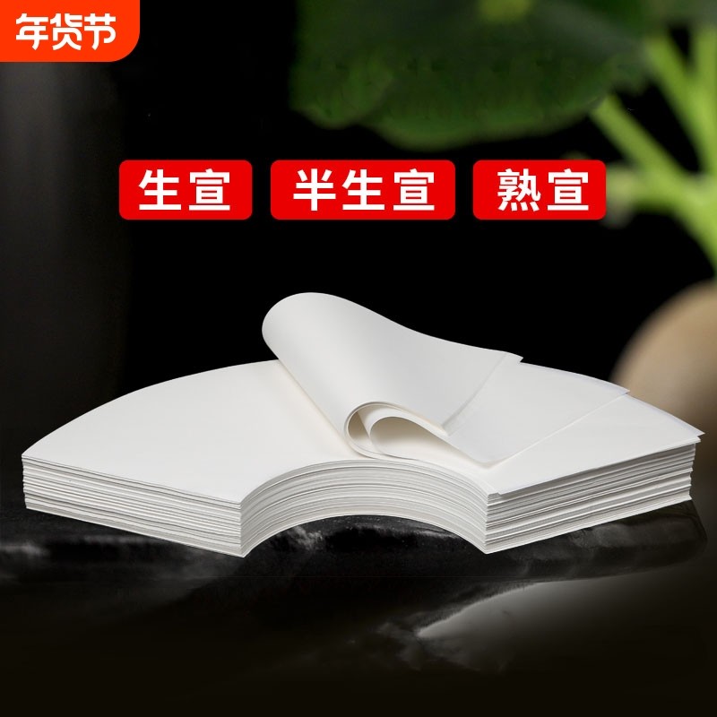 扇形半生熟国画纸芯工笔画书法作品用纸生宣熟宣白描扇面软笔写意山水水墨画白色仿古宣纸空白画芯初学者专用