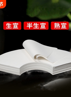 扇形半生熟国画纸芯工笔画书法作品用纸生宣熟宣白描扇面软笔写意山水水墨画白色仿古宣纸空白画芯初学者专用
