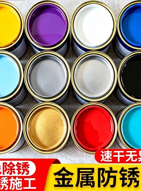 水性金属漆油漆防锈漆翻新改色栏杆铁门窗黑白色防腐自刷涂料家用