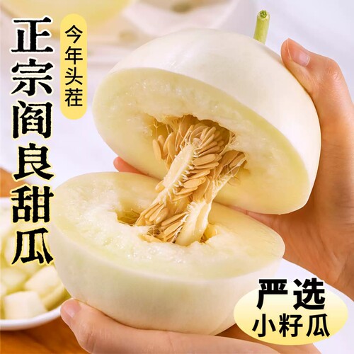 正宗陕西阎良甜瓜小籽瓜