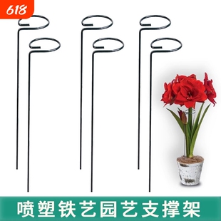植物支撑杆绣球朱顶红爬藤固定架花卉防倒伏月季铁艺花架绿植园艺