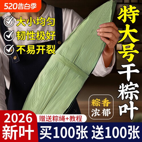 粽子叶棕叶新鲜大号新叶包粽子专用的叶子端午节商用批发干粽叶大