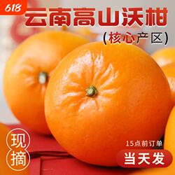 广西武鸣沃柑新鲜水果当季整箱时令10沙糖斤蜜橘砂糖柑橘桔子橘5
