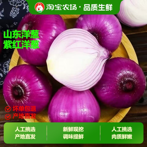 山东农家水果小洋葱9斤装甜味生吃5紫皮圆葱头蔬菜新鲜自种保存