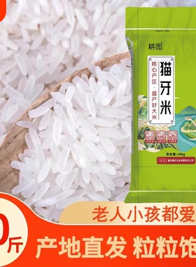 南方大米丝苗米10斤/20斤新米晚稻米猫牙香米长粒米饭袋装软糯