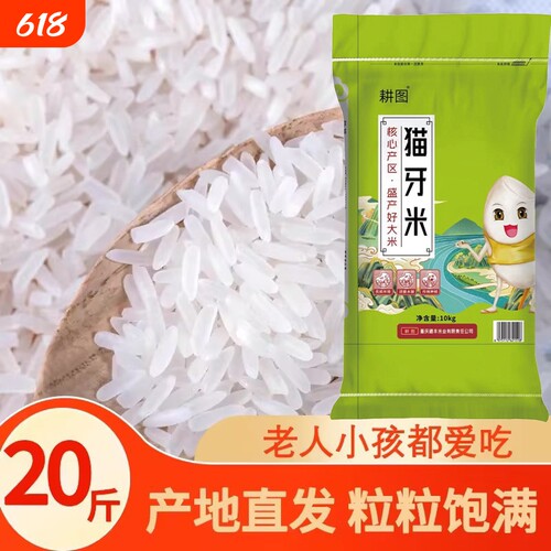 南方大米丝苗米10斤/20斤新米