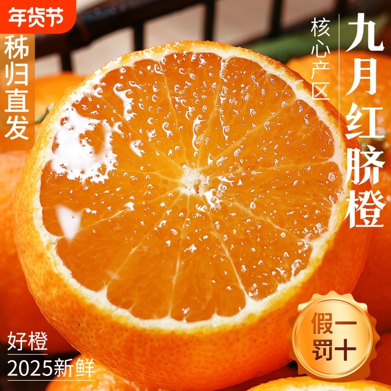 九月红秭归脐橙果冻橙10斤孕妇水果甜橙手剥橙子榨汁新鲜年货节,水产肉类/新鲜蔬果/熟食,橙,淘宝优惠券,粉丝福利购,淘宝优惠卷