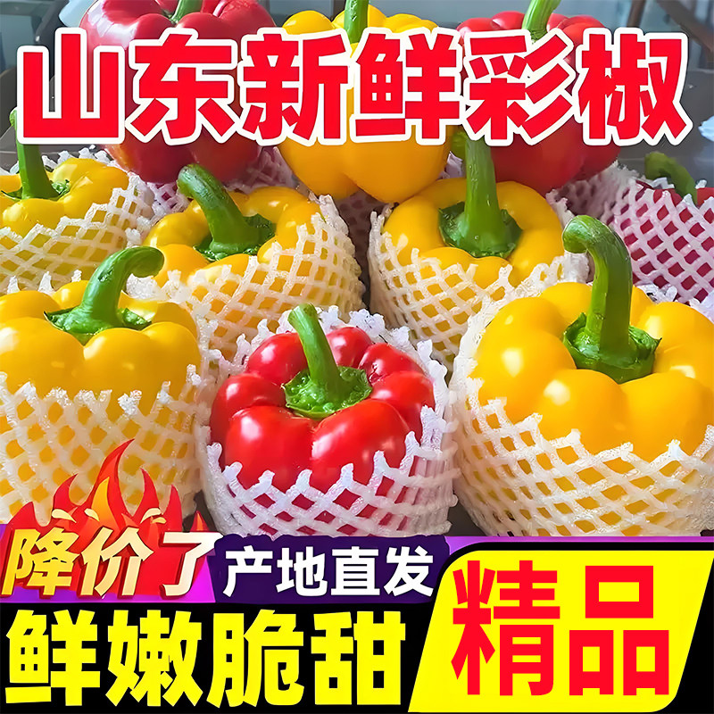 寿光五彩甜椒生吃水果彩椒青椒红黄绿圆椒辣椒新鲜现摘当季蔬菜,水产肉类/新鲜蔬果/熟食,辣椒,淘宝优惠券,粉丝福利购,淘宝优惠卷