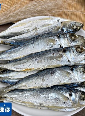 福建东山岛淡晒巴浪鱼干新鲜晾晒小鱼干巴浪鱼干炒菜配酒海产干货