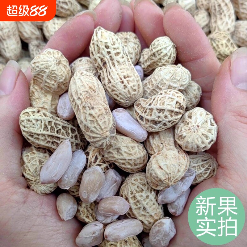 龙岩花生蒜香五香原味盐水白晒咸干水煮花生米带壳炒货晒干新鲜