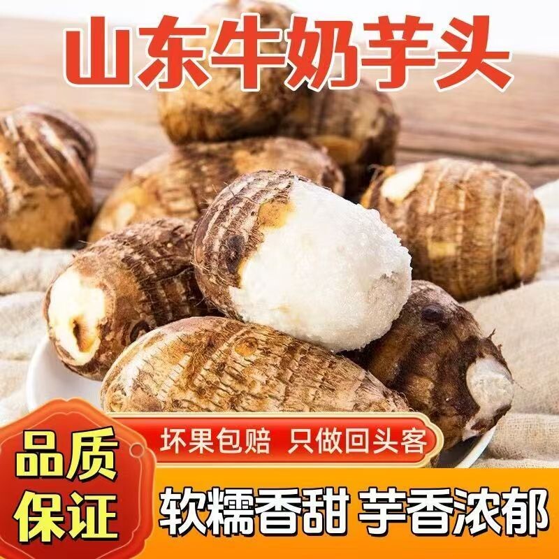 山东牛奶芋头净重4.5斤中大果