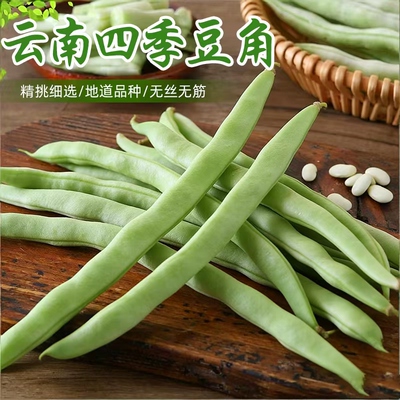 云南新鲜现摘四季豆角鲜嫩农家种应当季蔬菜扁芸豆无丝无筋包邮