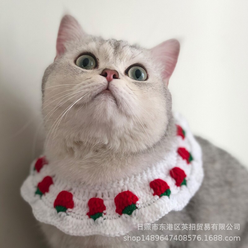 宠物饰品猫咪领结小樱桃假领手工编织项圈小清新水果领子