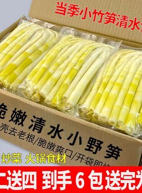 野生竹笋江西高山笋尖新鲜春笋清水笋子涮火锅食材批发凉拌串串